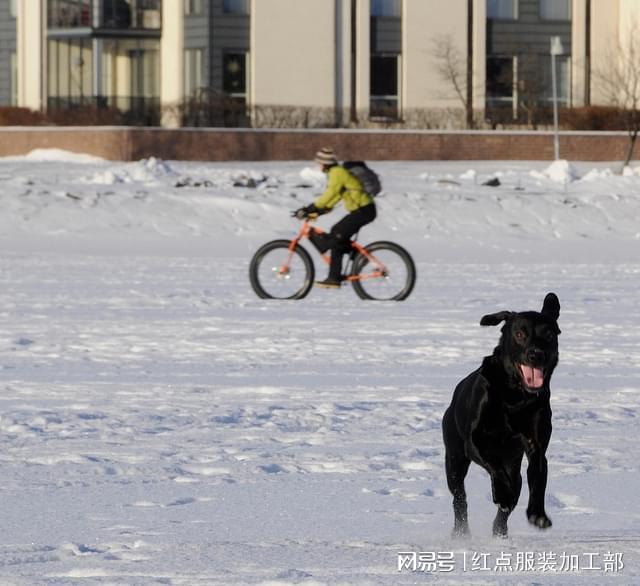 可穿戴健康监测与智能材料驱动服装制造未来创新发展(图1)